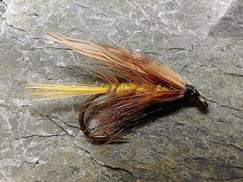 trout fly