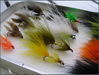 Trout Lures and Streamers