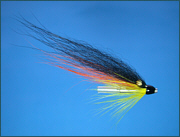 A salmon fly